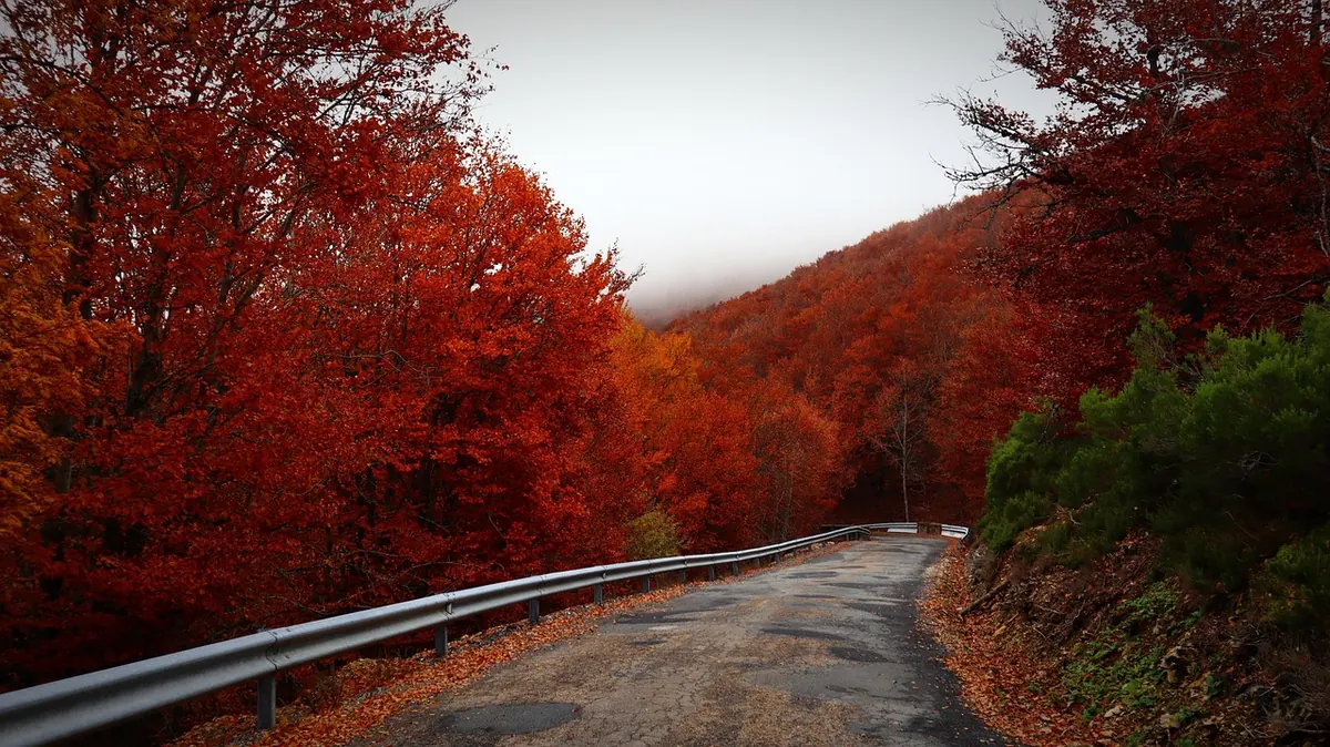 How to Plan a Slow Travel Weekend Within 2 Hours of Home
